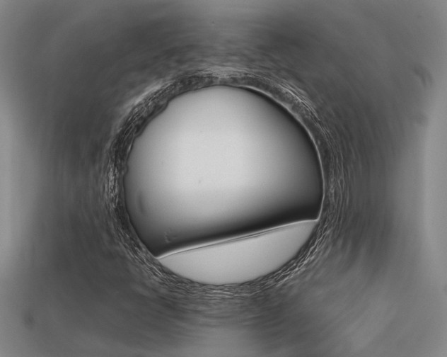 X0000113261398200909101240