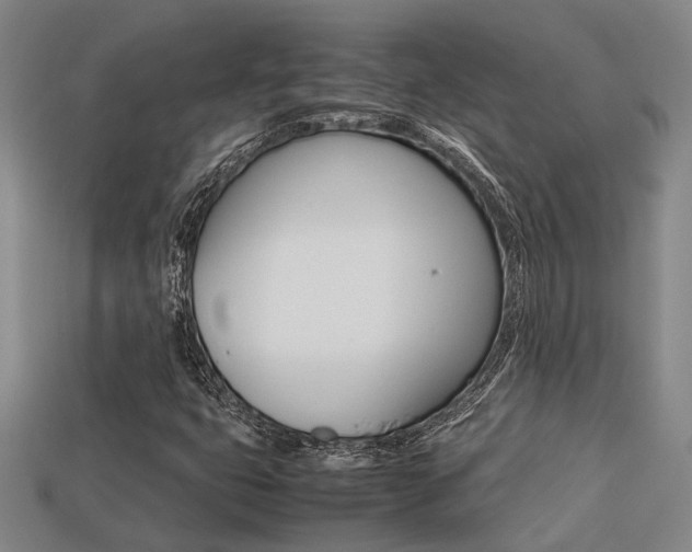 X0000113261399200909101240