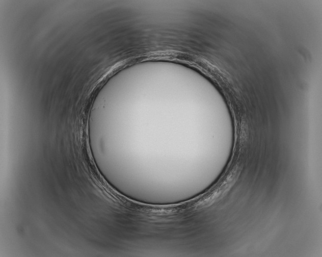 X0000113261401200909101240