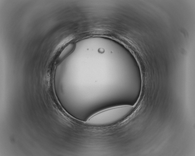 X0000113261402200909101240