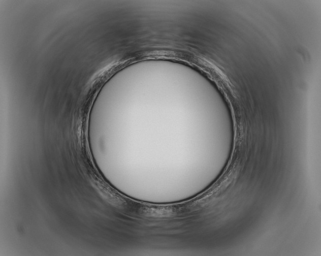 X0000113261403200909101240