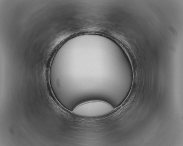 X0000113261404200909101240