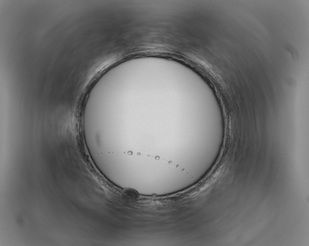 X0000113261405200909101240