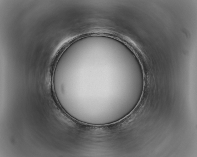 X0000113261408200909101240