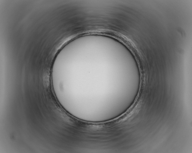 X0000113261409200909101240
