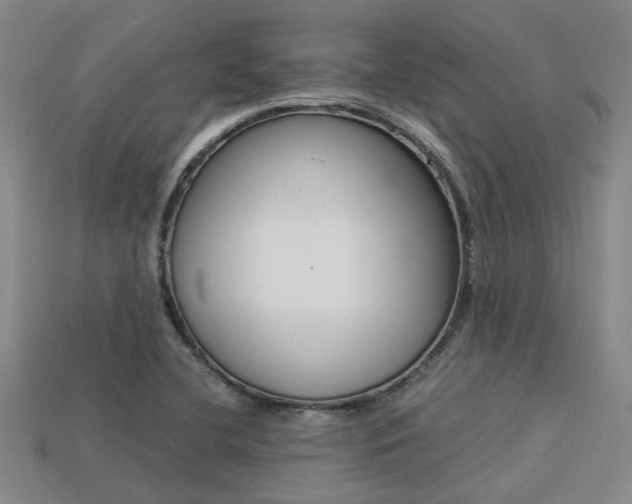 X0000113261412200909101240