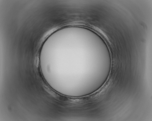 X0000113261413200909101240