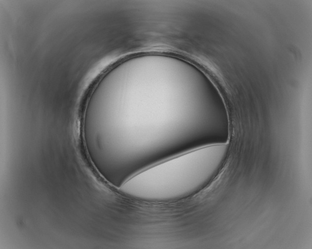 X0000113261414200909101240