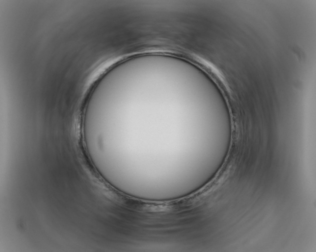 X0000113261415200909101240
