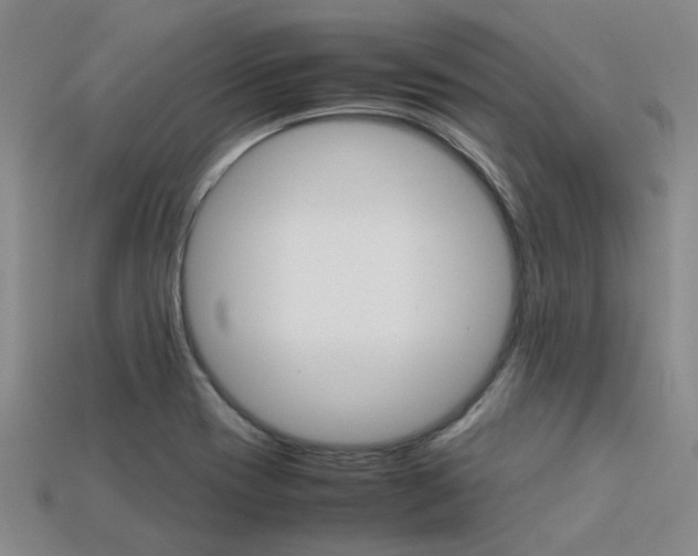 X0000113261417200909101240