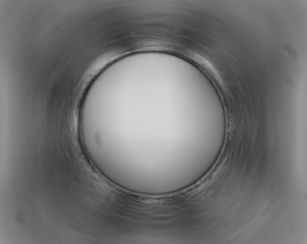 X0000113261419200909101240