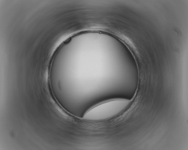 X0000113261420200909101240