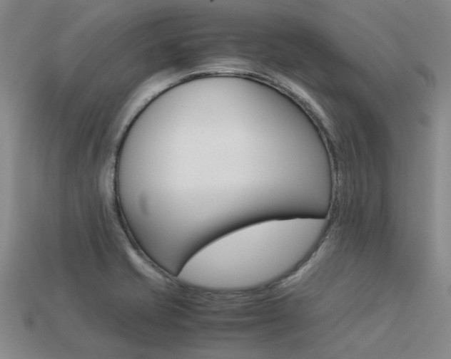 X0000113261421200909101240