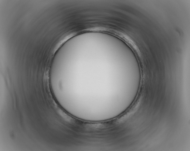 X0000113261425200909101240
