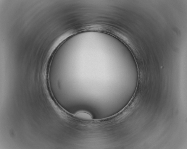 X0000113261426200909101240
