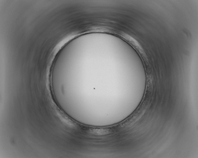X0000113261427200909101240