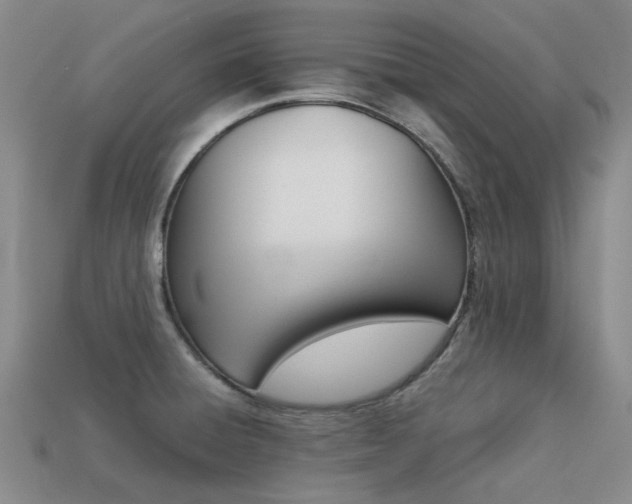 X0000113261428200909101240