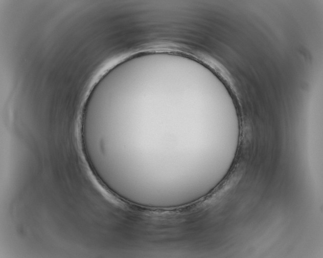 X0000113261429200909101240