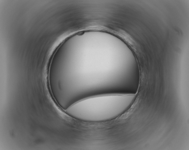X0000113261430200909101240