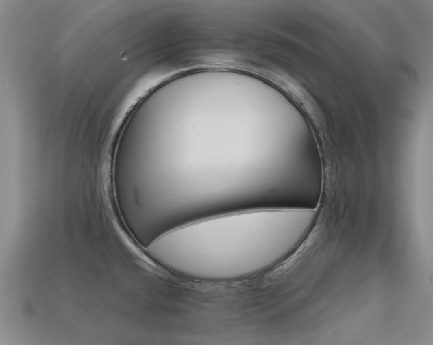 X0000113261432200909101240