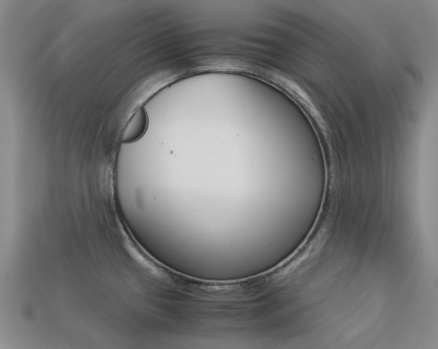 X0000113261433200909101240