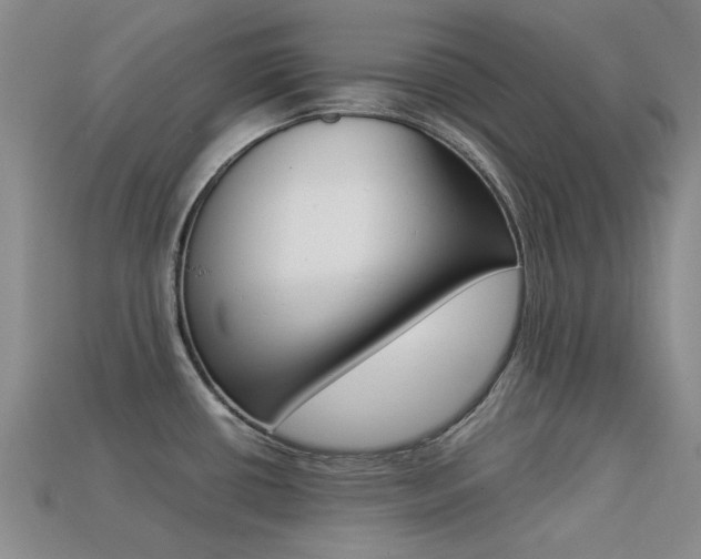 X0000113261434200909101240