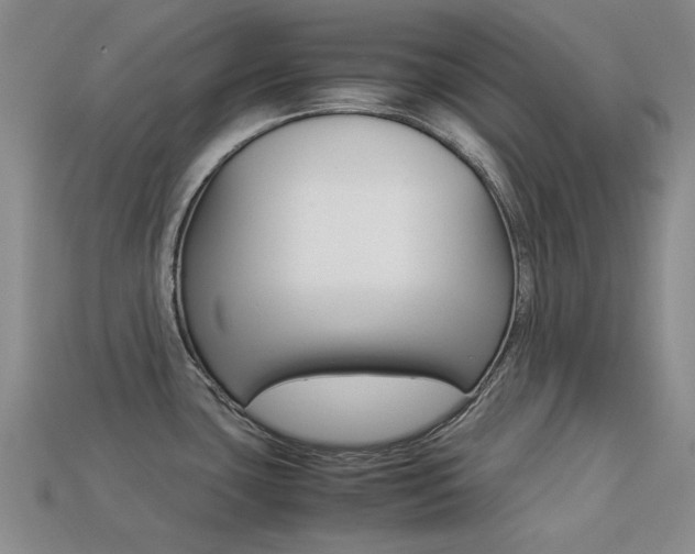 X0000113261435200909101241