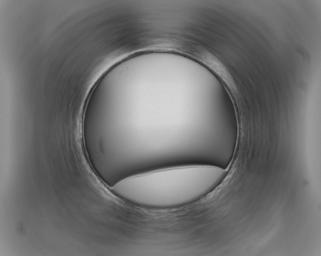 X0000113261436200909101241