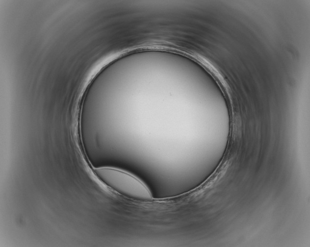 X0000113261437200909101241