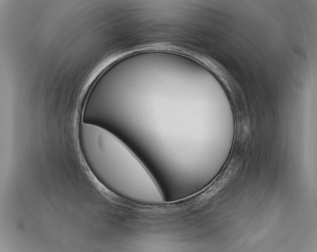 X0000113261438200909101241