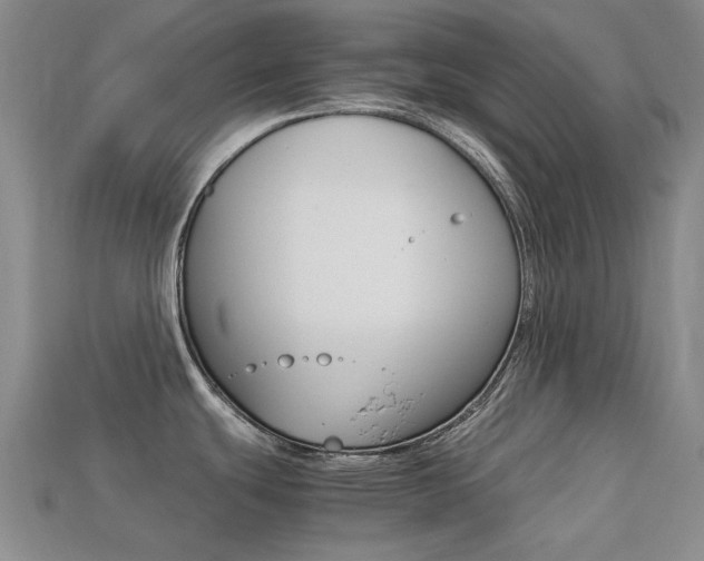 X0000113261439200909101241