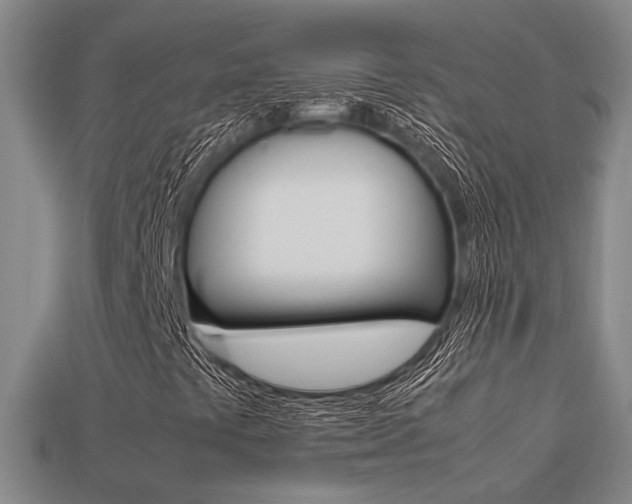 X0000113261441200909101240