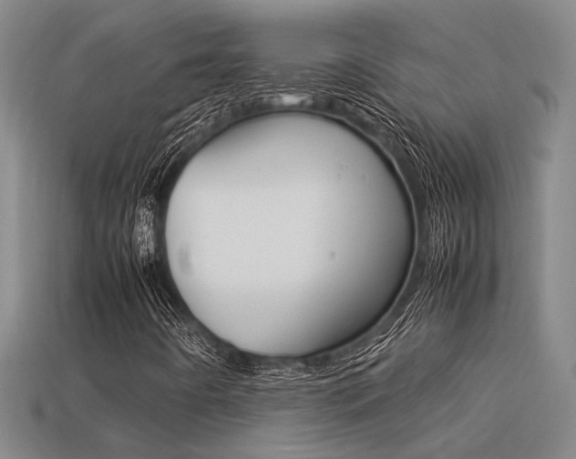 X0000113261442200909101240