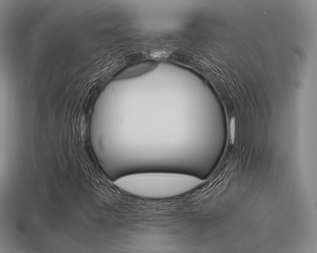 X0000113261443200909101240