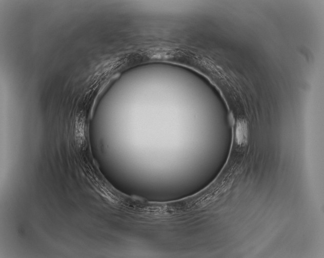 X0000113261444200909101240