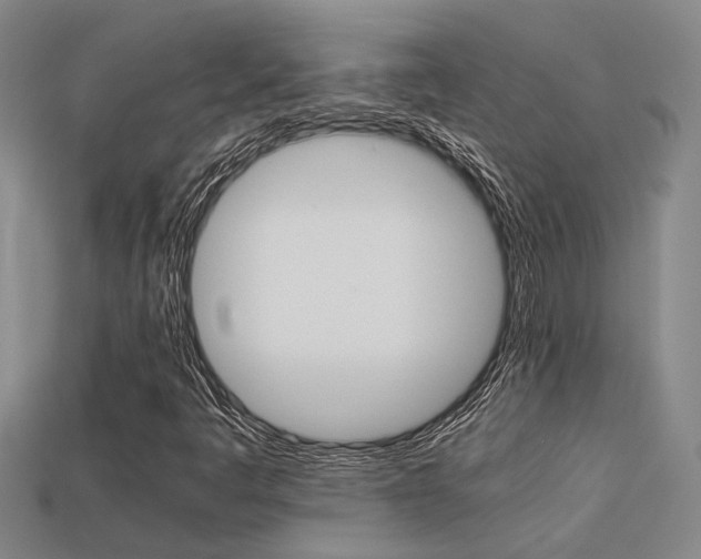 X0000113261445200909101240