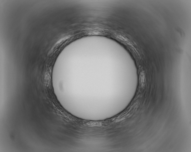 X0000113261446200909101240