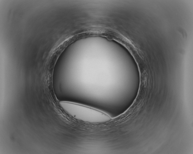 X0000113261448200909101240
