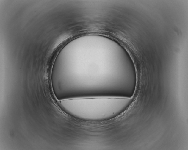 X0000113261450200909101240