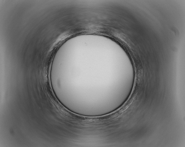 X0000113261451200909101240