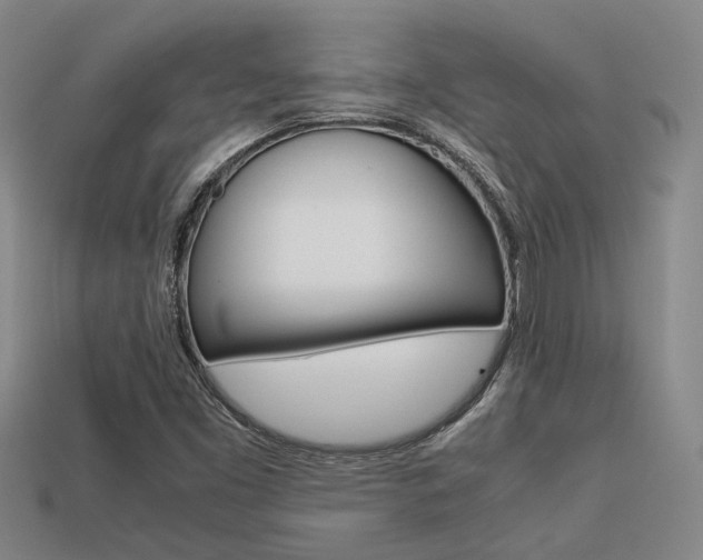 X0000113261453200909101240