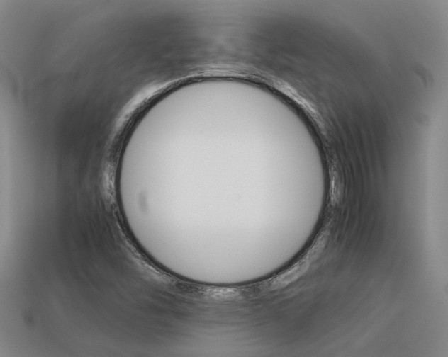 X0000113261454200909101240