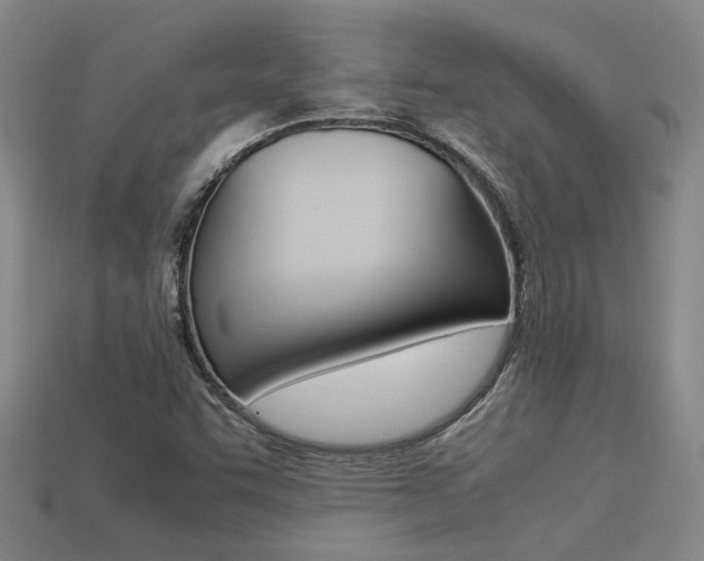 X0000113261455200909101240