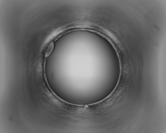 X0000113261456200909101240