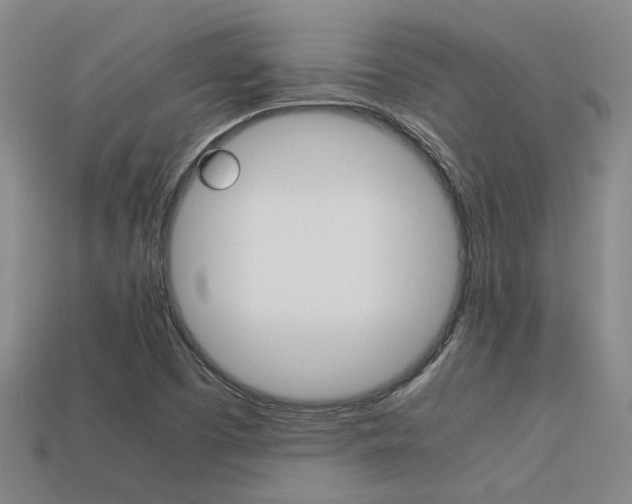 X0000113261457200909101240