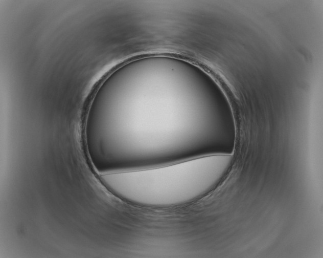 X0000113261460200909101240