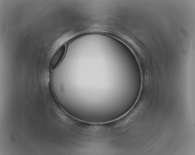 X0000113261461200909101240