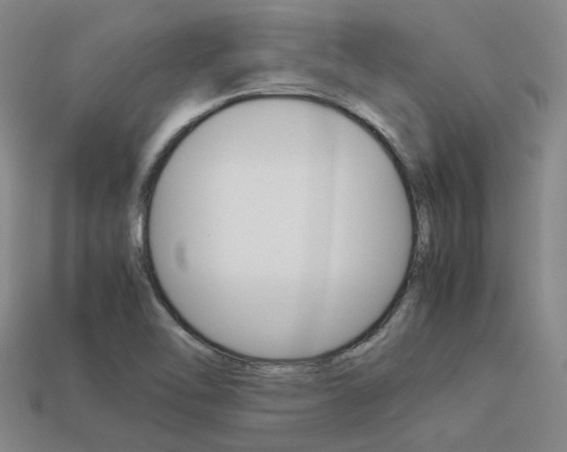 X0000113261462200909101240