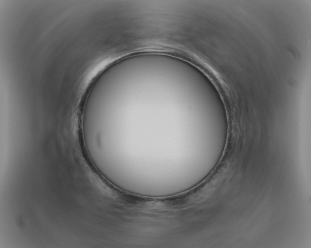 X0000113261463200909101240