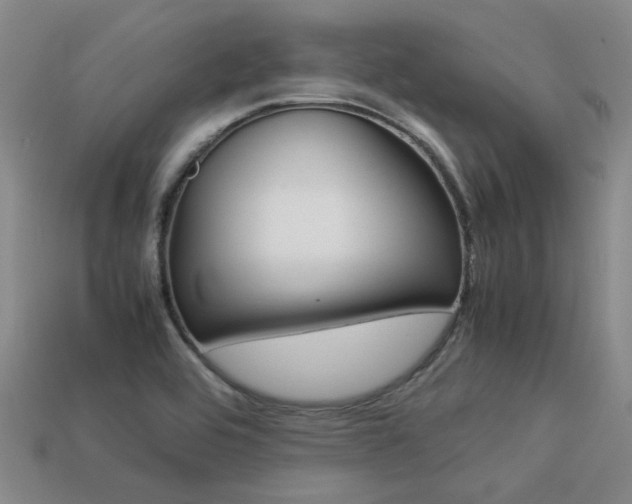 X0000113261464200909101240